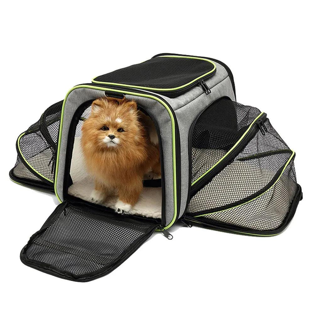 Go Cat Expandable Cat Carrier Cat Supplies KittyNook Cat Company