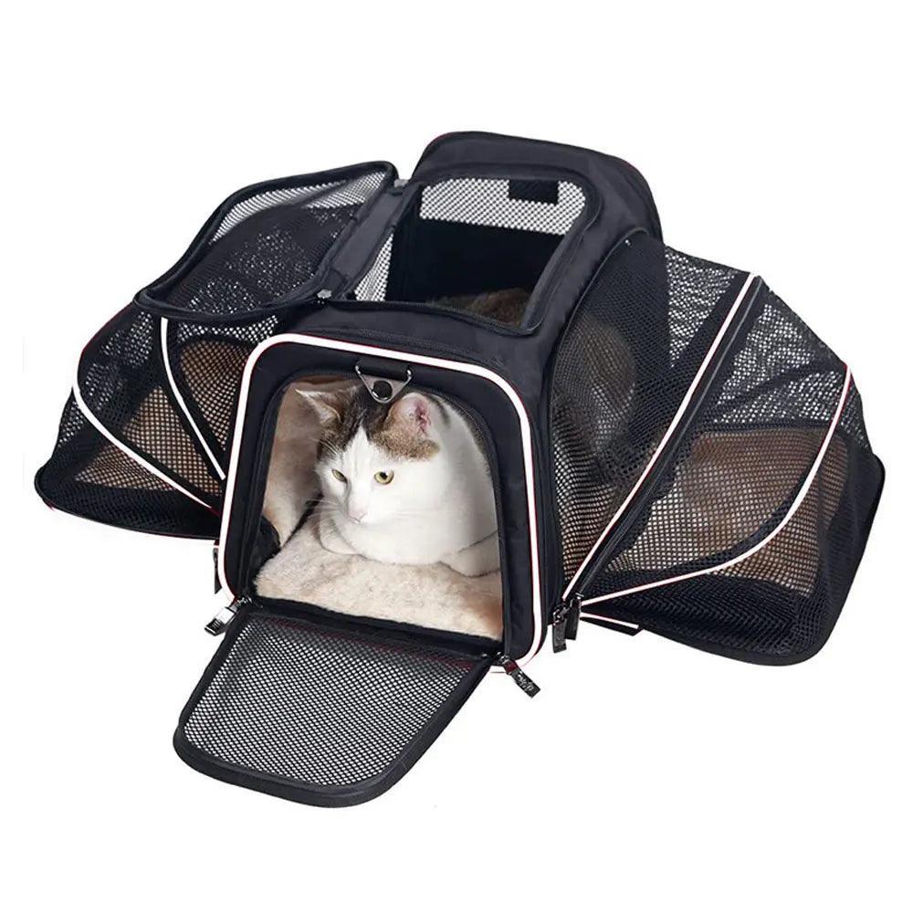 Go Cat Expandable Cat Carrier Cat Supplies KittyNook Cat Company White