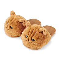 Thumbnail for Lazy Cat Slippers - KittyNook