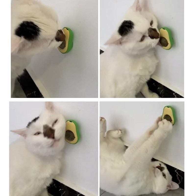 Kitty Krew Avocado Catnip Toy Cat Toys KittyNook Cat Company