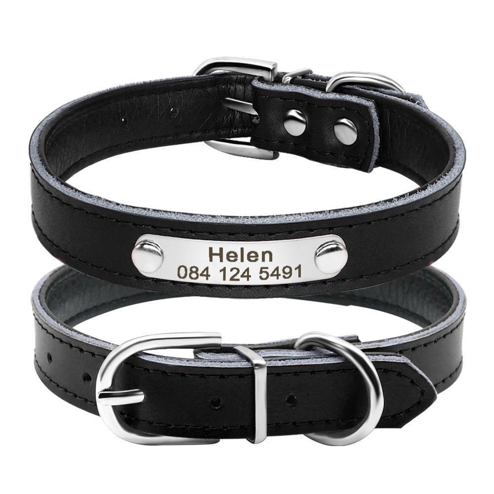 Leather Nameplate Cat Collar Pet Collars & Harnesses KittyNook Black S
