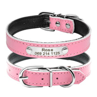 Thumbnail for Leather Nameplate Cat Collar Pet Collars & Harnesses KittyNook Pink S