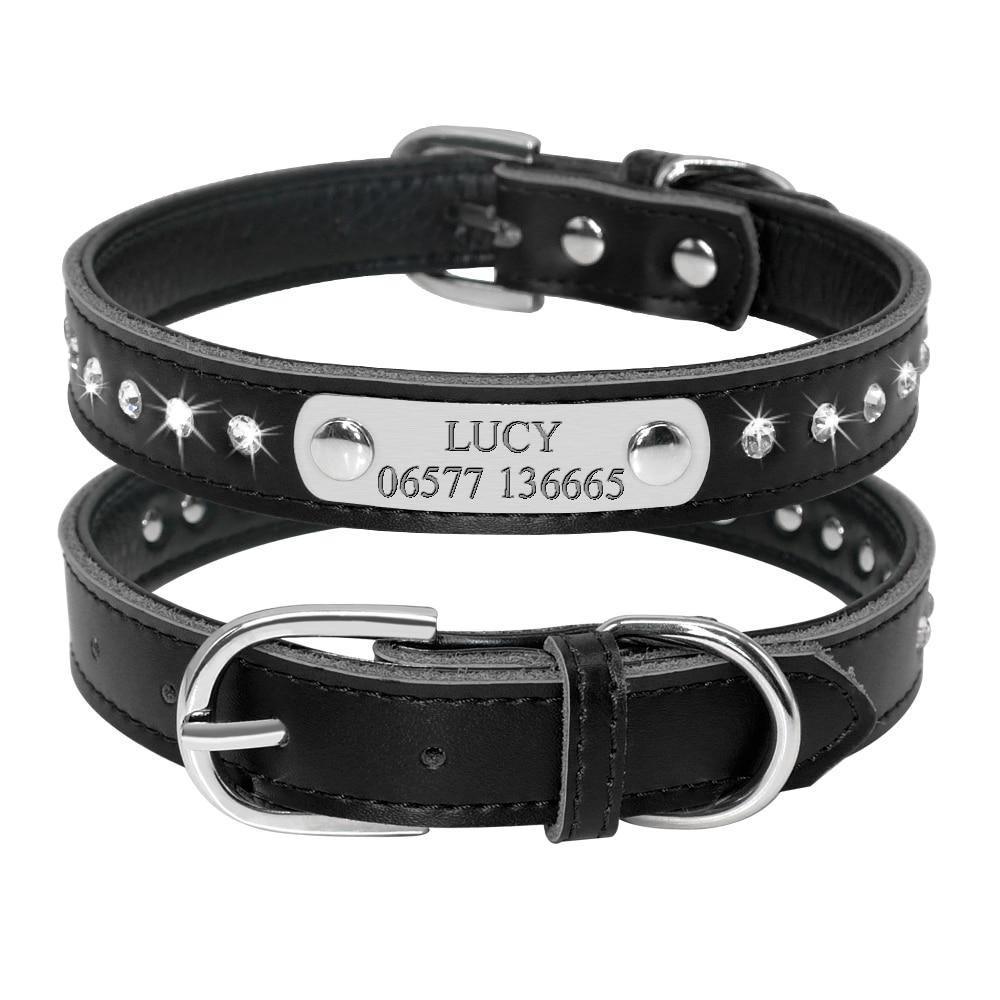 Leather Nameplate Cat Collar Pet Collars & Harnesses KittyNook Black with Studs S