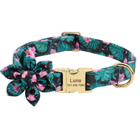 Thumbnail for Lil' Bloomers Personalized Pet Collar and Leash Pet Collars & Harnesses KittyNook Cat Company Green Collar XS