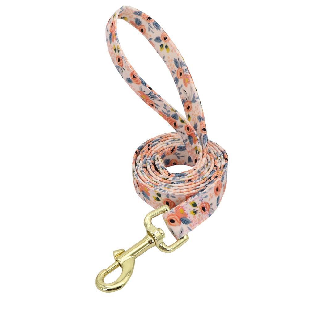 Lil' Bloomers Personalized Pet Collar and Leash Pet Collars & Harnesses KittyNook Cat Company Orange Leash XS