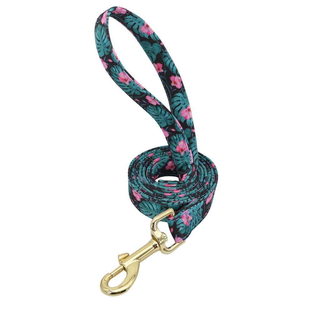Lil' Bloomers Personalized Pet Collar and Leash Pet Collars & Harnesses KittyNook Cat Company Green Leash XS