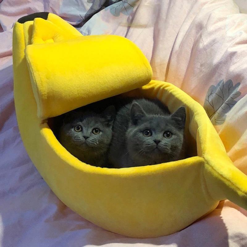 Peeled Banana Cat Bed Cat Beds KittyNook