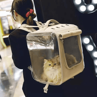 Thumbnail for Pet Prowl Cat Stroller Pet Strollers KittyNook Cat Company