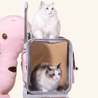 Thumbnail for Pet Prowl Cat Stroller Pet Strollers KittyNook Cat Company
