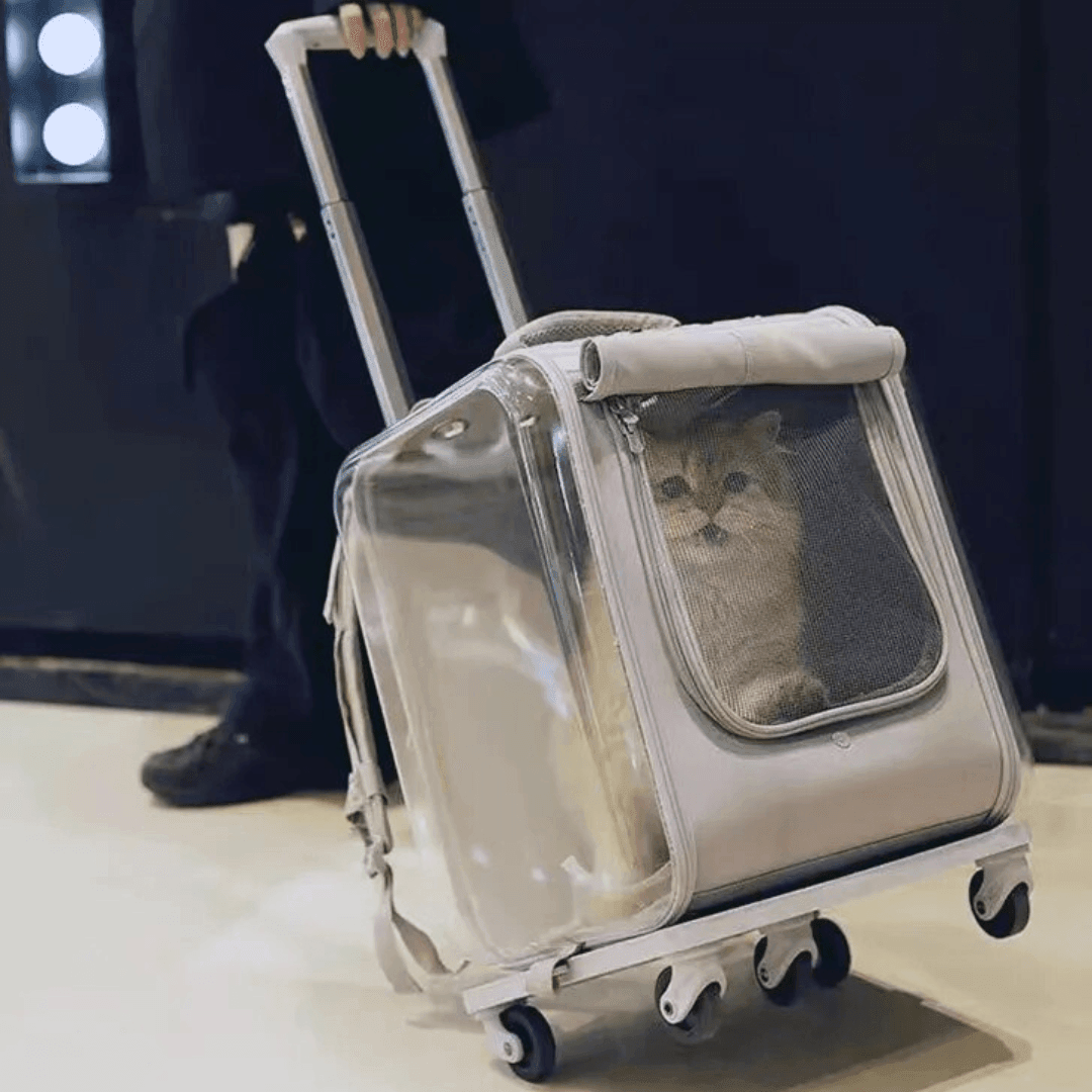 Pet Prowl Cat Stroller Pet Strollers KittyNook Cat Company