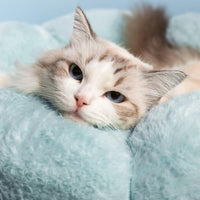 Thumbnail for Petal Purr Fancy Cat Bed Petal Purr Fancy Cat Bed KittyNook Cat Company