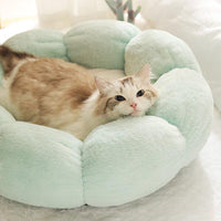 Thumbnail for Petal Purr Fancy Cat Bed Petal Purr Fancy Cat Bed KittyNook Cat Company