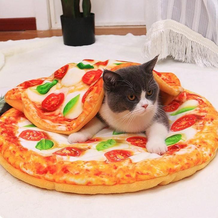 Pizza Pet Bed Cat Beds KittyNook