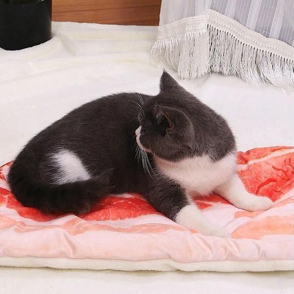 Pizza Pet Bed Cat Beds KittyNook