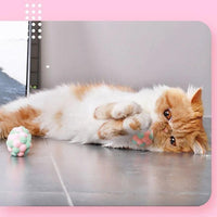 Thumbnail for Plushie Cat Training Balls (Set of 3) Cat Toys KittyNook