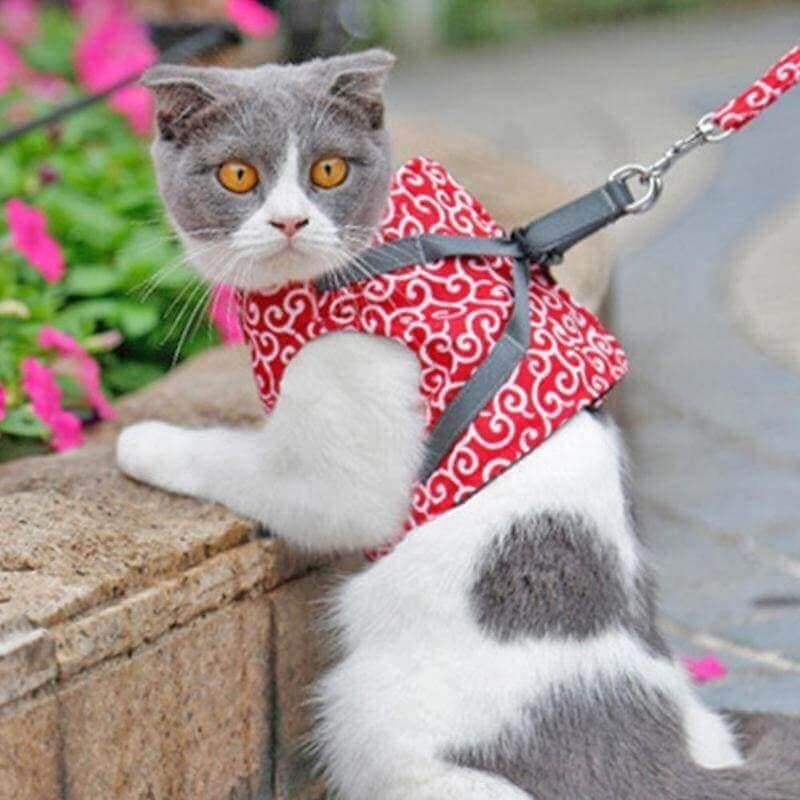 Premium Japanese Style Escape-Proof Best Cat Harness Cat Collars & Harnesses kittynook Red XS