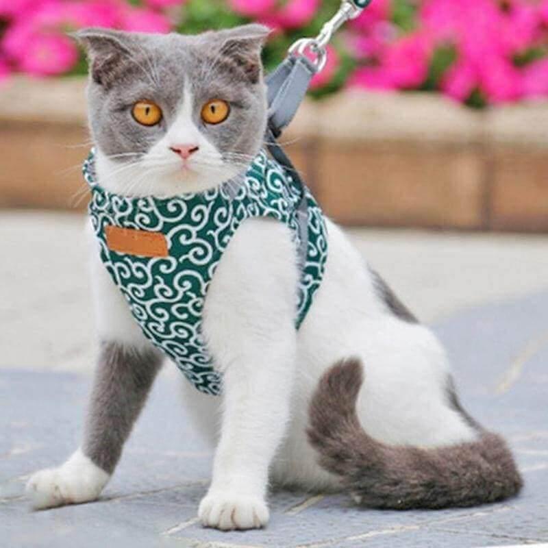 Premium Japanese Style Escape-Proof Best Cat Harness Cat Collars & Harnesses kittynook Green XS