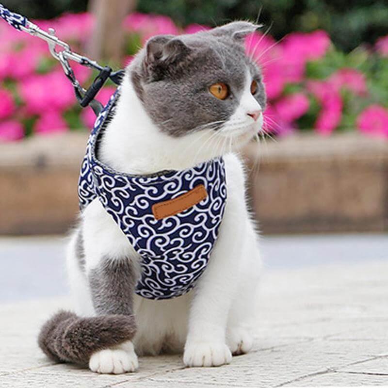 Premium Japanese Style Escape-Proof Best Cat Harness Cat Collars & Harnesses kittynook