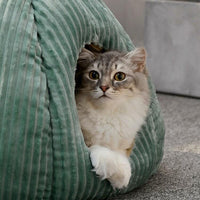 Thumbnail for Pumpkin Palace Cat Cave Bed Cat Beds KittyNook Cat Company