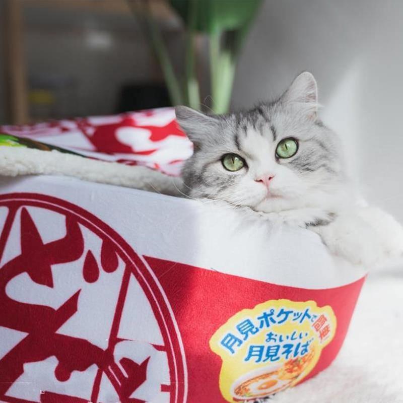 Ramen Noodles Pet Bed Cat Beds KittyNook