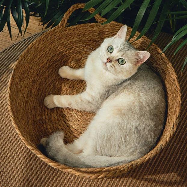 Rattan Cat Bed Cat Beds KittyNook Cat Company