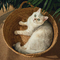 Thumbnail for Rattan Cat Bed Cat Beds KittyNook Cat Company