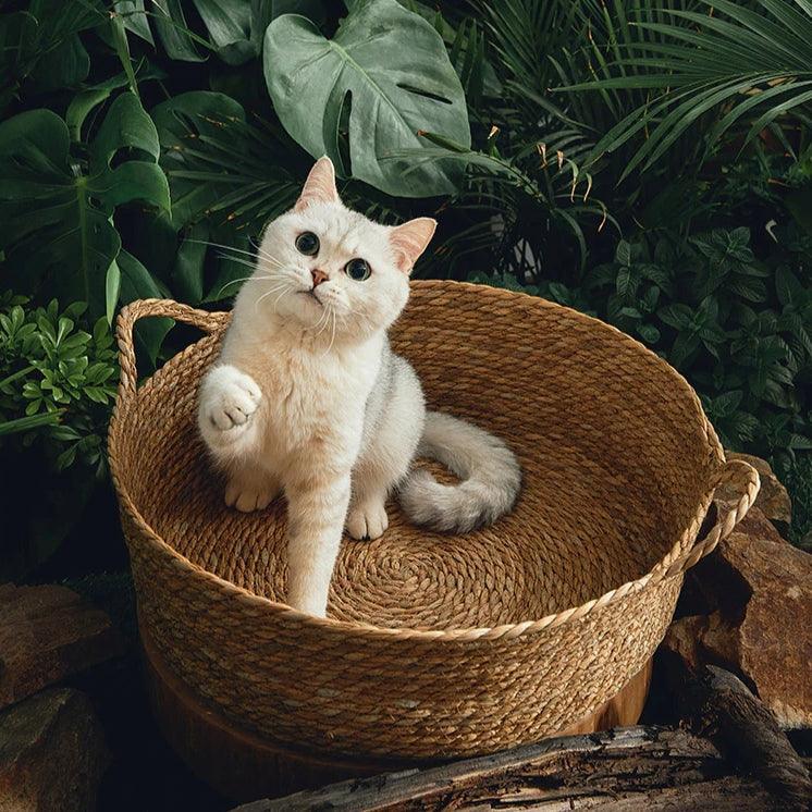 Rattan Cat Bed Cat Beds KittyNook Cat Company