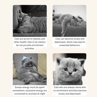 Thumbnail for Rojeco Automatic Cat Laser Toy Cat Toys KittyNook Cat Company