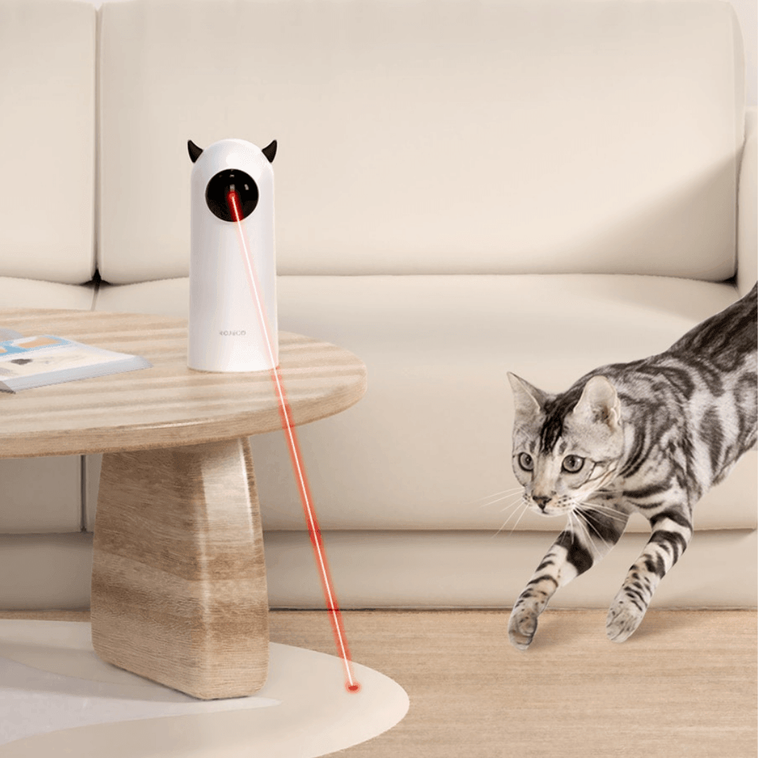 Rojeco Automatic Cat Laser Toy Cat Toys KittyNook Cat Company