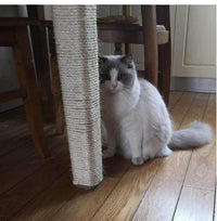 Thumbnail for Sisal Rope for DIY Cat Tree Cat Furniture KittyNook