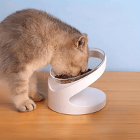 Thumbnail for Sleek Eats Modern Cat Bowl With Stand Pet Bowls, Feeders & Waterers KittyNook Cat Company