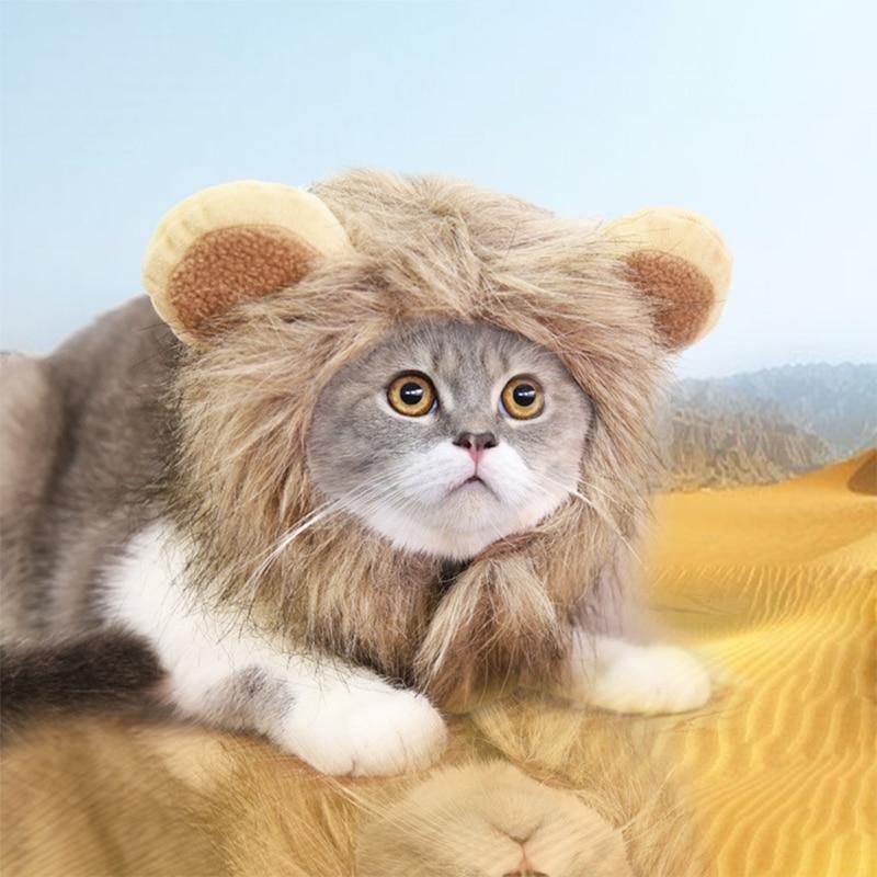 So Kawaii! Lion Mane Cat Costume Cat Apparel KittyNook