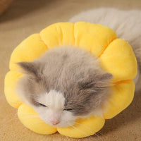 Thumbnail for Sunflower Bloom Recovery Collar Pet Medical Collars KittyNook Cat Company