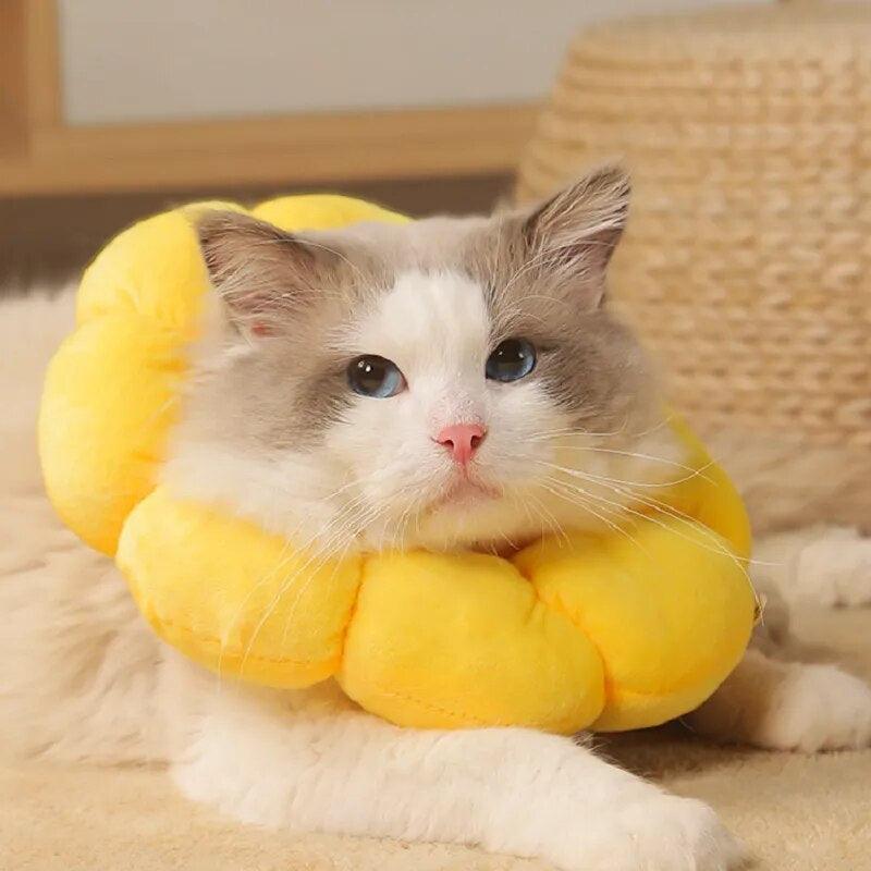 Sunflower Bloom Recovery Collar Pet Medical Collars KittyNook Cat Company