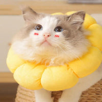 Thumbnail for Sunflower Bloom Recovery Collar Pet Medical Collars KittyNook Cat Company