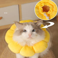 Thumbnail for Sunflower Bloom Recovery Collar Pet Medical Collars KittyNook Cat Company