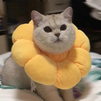 Thumbnail for Sunflower Bloom Recovery Collar Pet Medical Collars KittyNook Cat Company