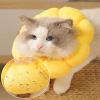 Thumbnail for Sunflower Bloom Recovery Collar Pet Medical Collars KittyNook Cat Company