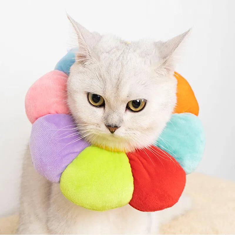 Sunflower Bloom Recovery Collar Pet Medical Collars KittyNook Cat Company Rainbow Flower XS