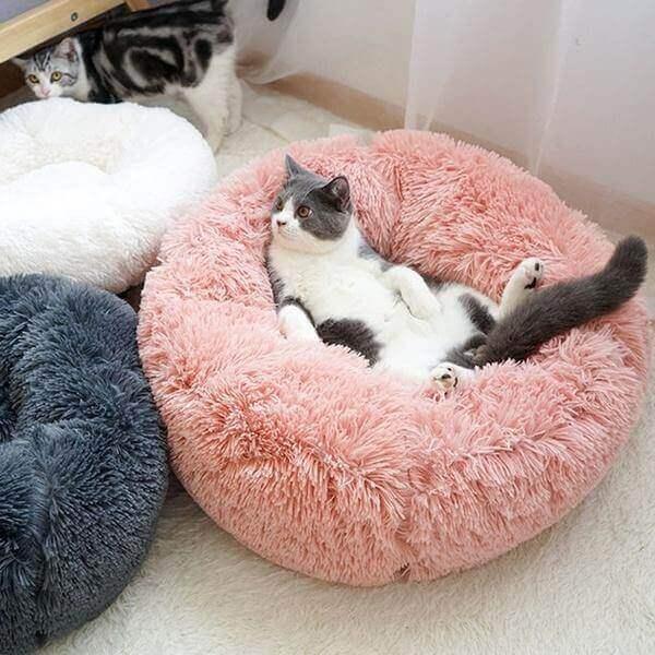 Sweet-Dreams Calming Pet Bed - KittyNook