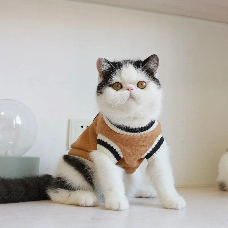 Tailored Tabby Cat Sweater Cat Apparel KittyNook Cat Company