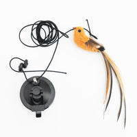 Thumbnail for ToyBird Hanging Bird Toy Cat Toys KittyNook Cat Company ToyBird D