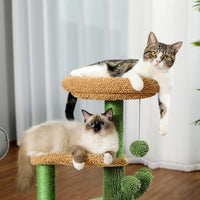 Thumbnail for Urban Jungle Cactus Cat Tree Cat Furniture KittyNook Cat Company