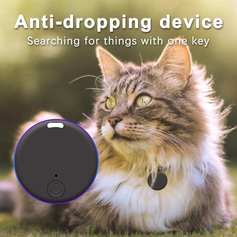Whisker Watch Bluetooth Cat Tracker GPS Tracking Devices KittyNook Cat Company