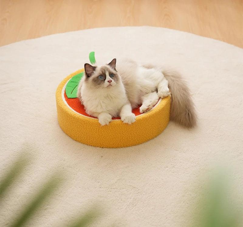 Whisker Whirl Cat Bed Scratcher KittyNook Cat Company