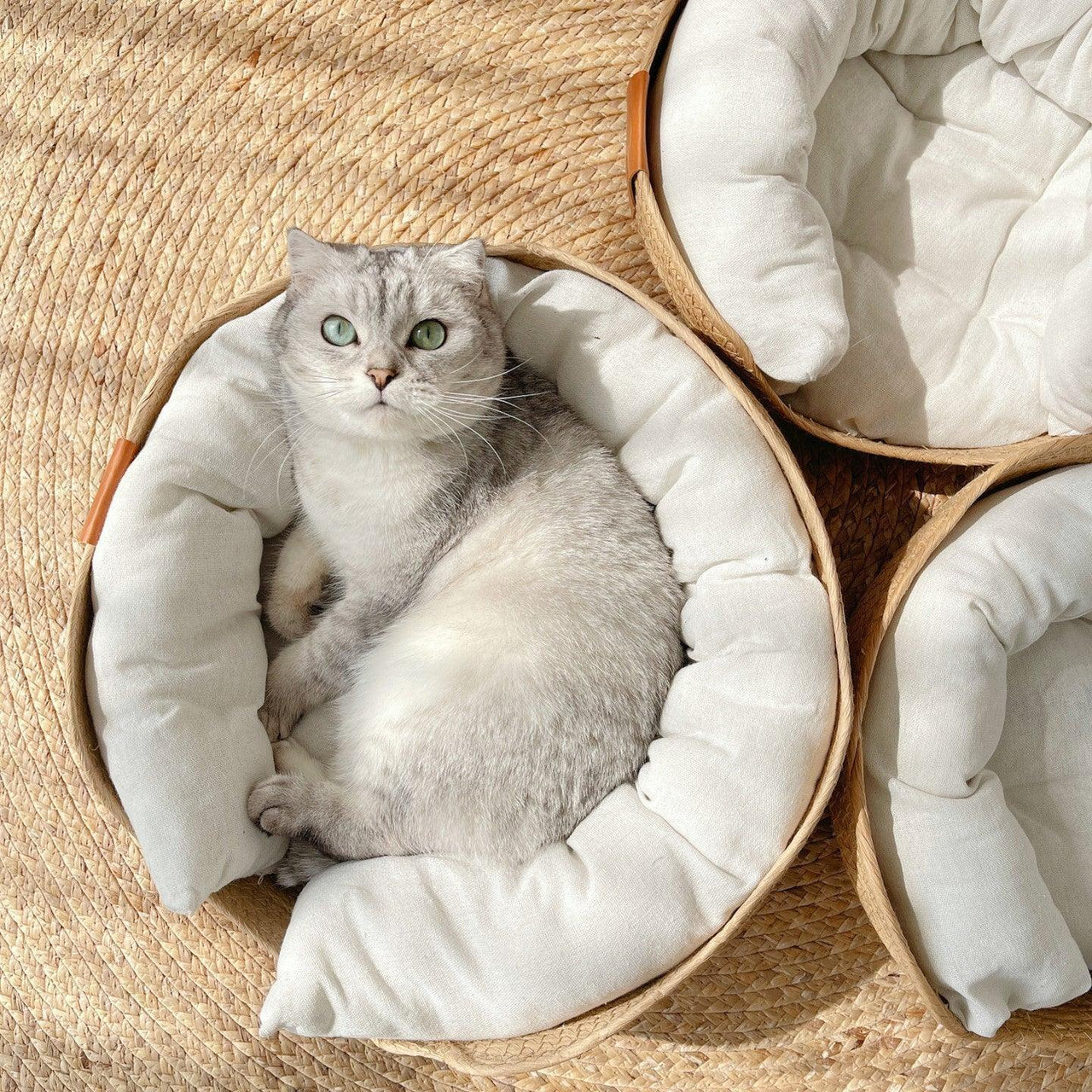 Woven Bamboo Cat Bed Cat Beds KittyNook Cat Company