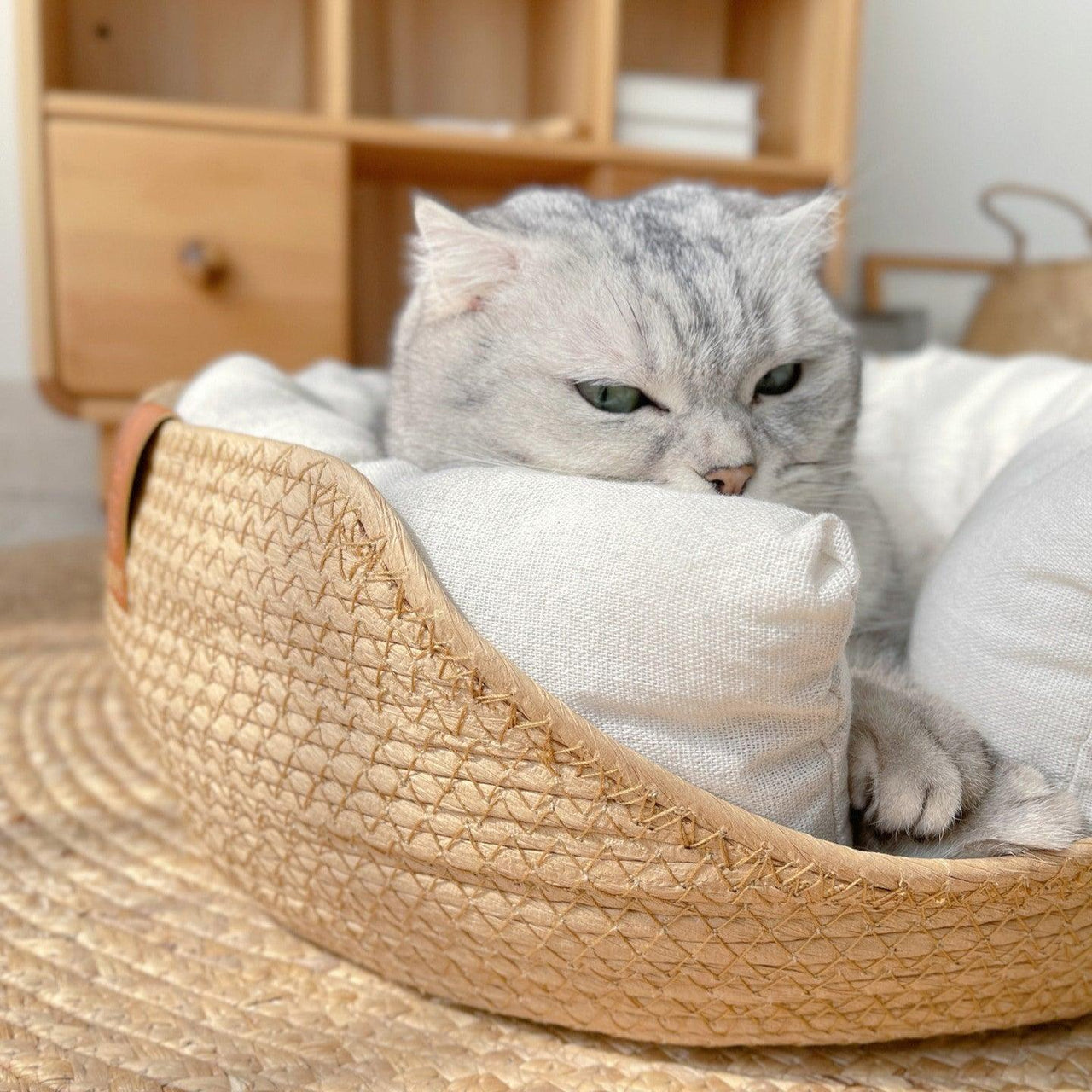 Woven Bamboo Cat Bed Cat Beds KittyNook Cat Company