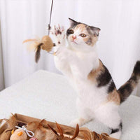Thumbnail for Cutie Catz 7pcs Feather Cat Toy  KittyNook