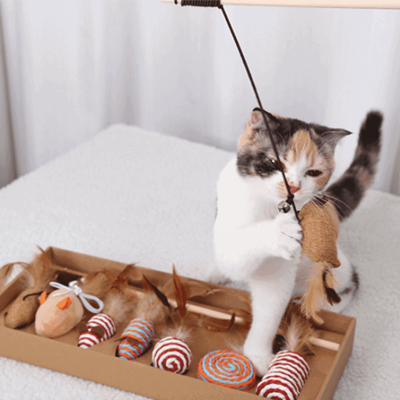 Cutie Catz 7pcs Feather Cat Toy  KittyNook
