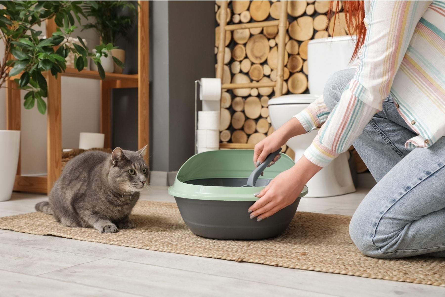 Owner with Scoop Cleaning Cat Litter Box | Kitty Nook